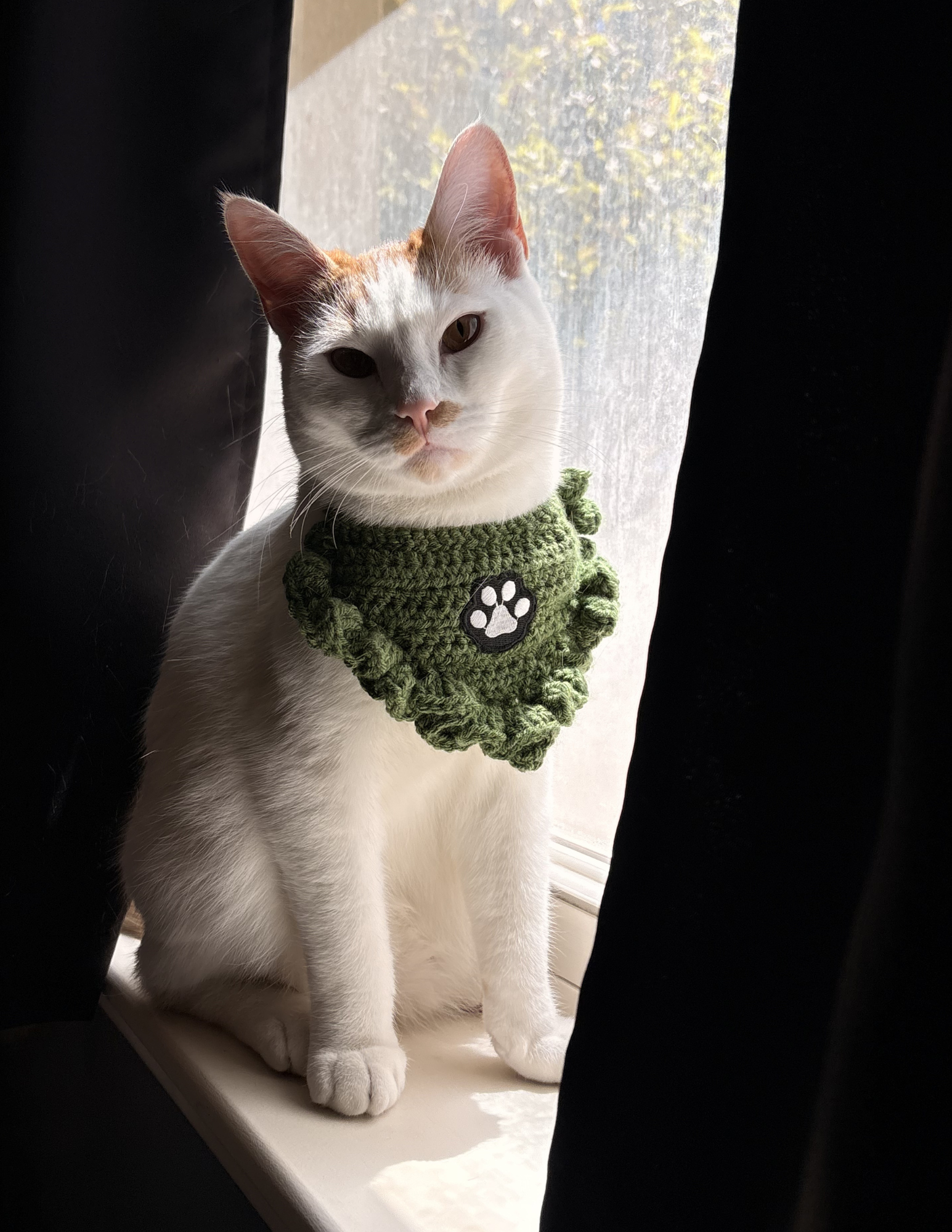 Paw Print Bandana