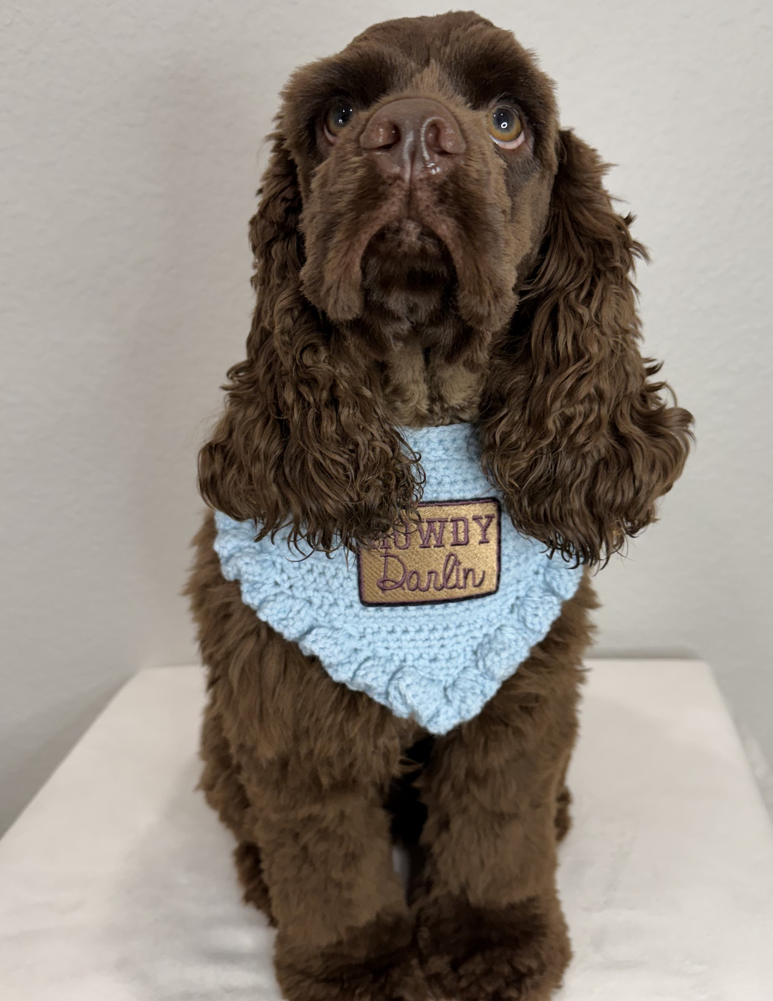 Howdy Darlin' Bandana | Blue