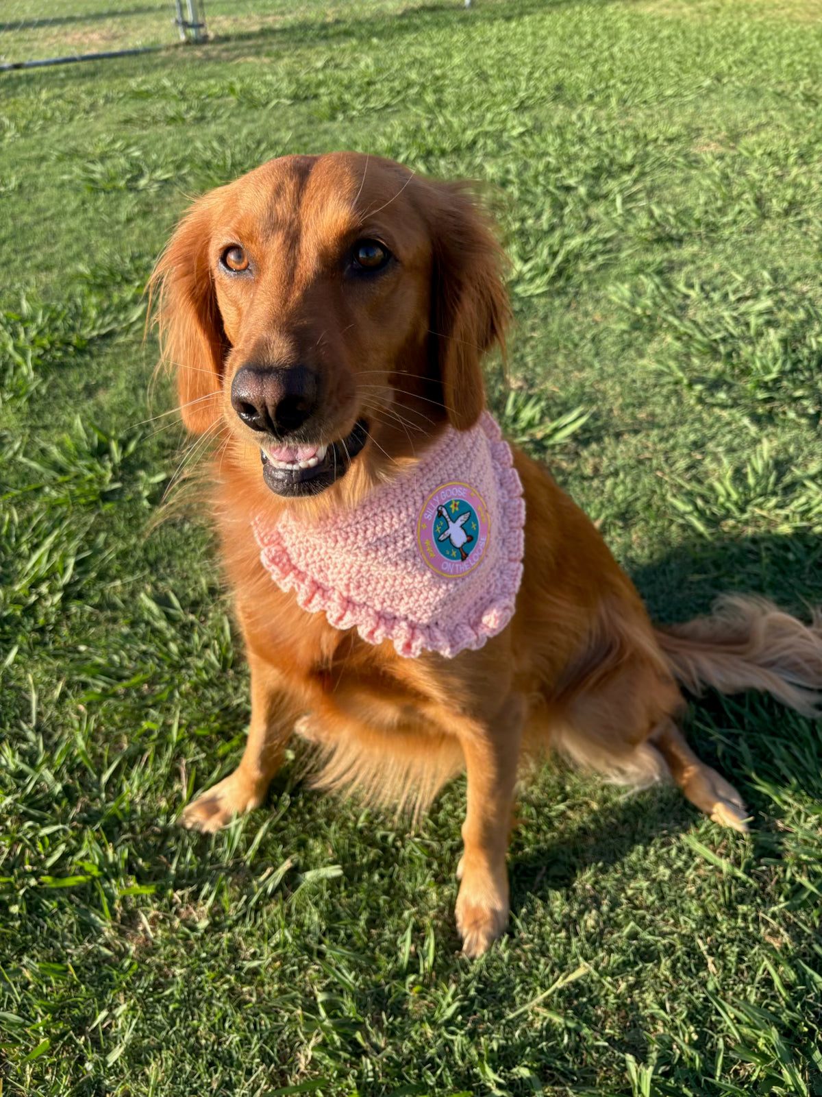 Silly Goose Bandana | Pink