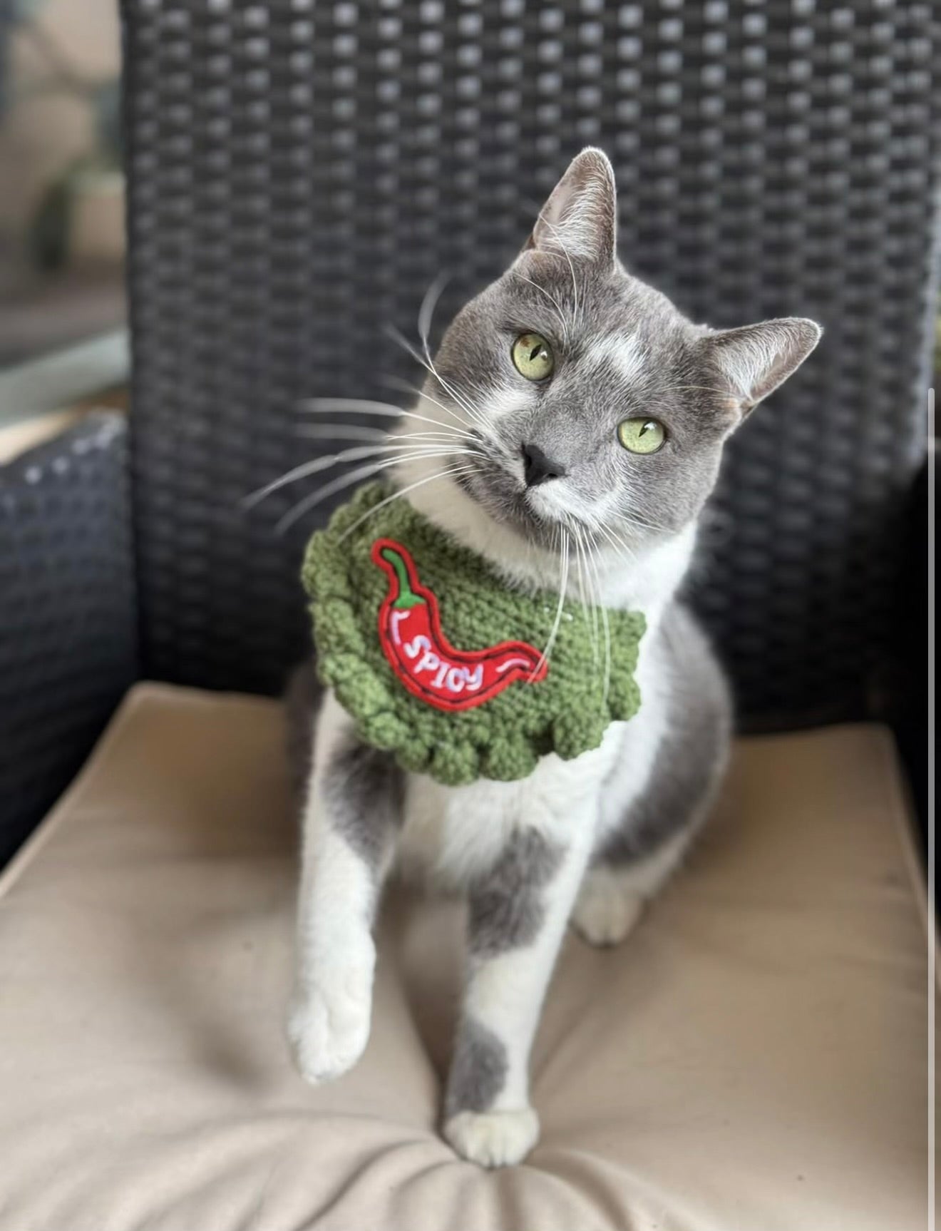 Spicy Bandana