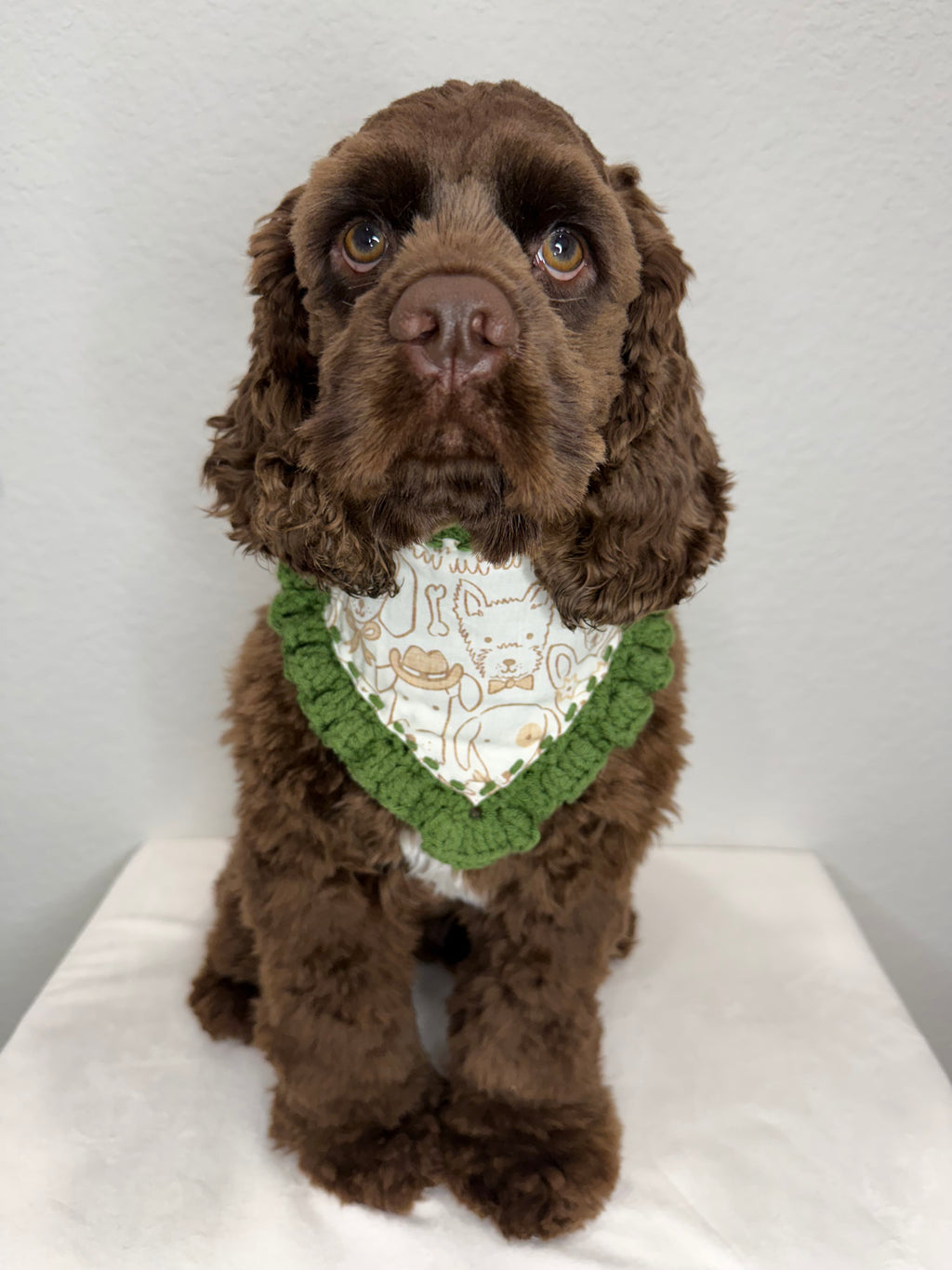 Spicy Bandana