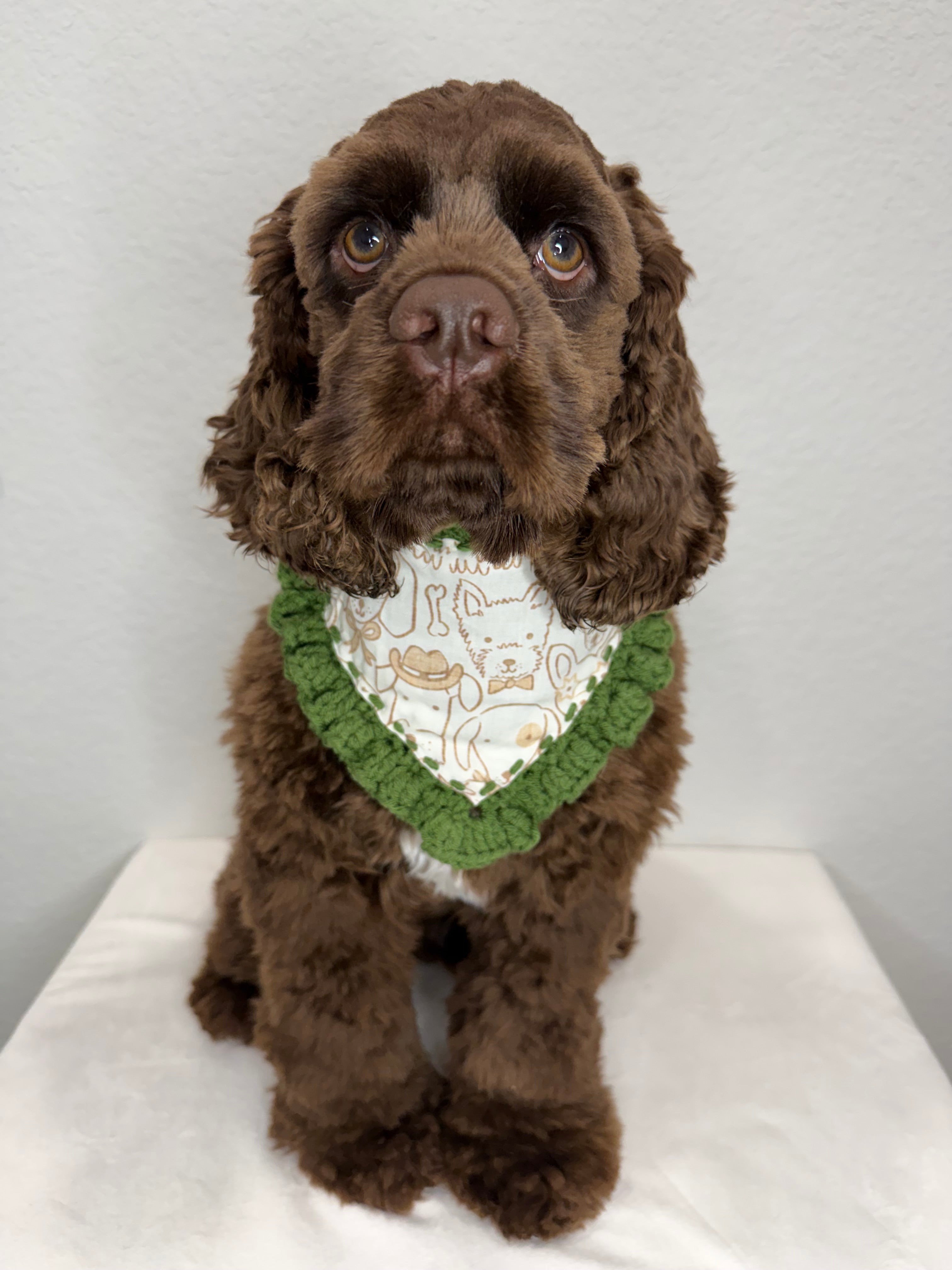 Spicy Bandana