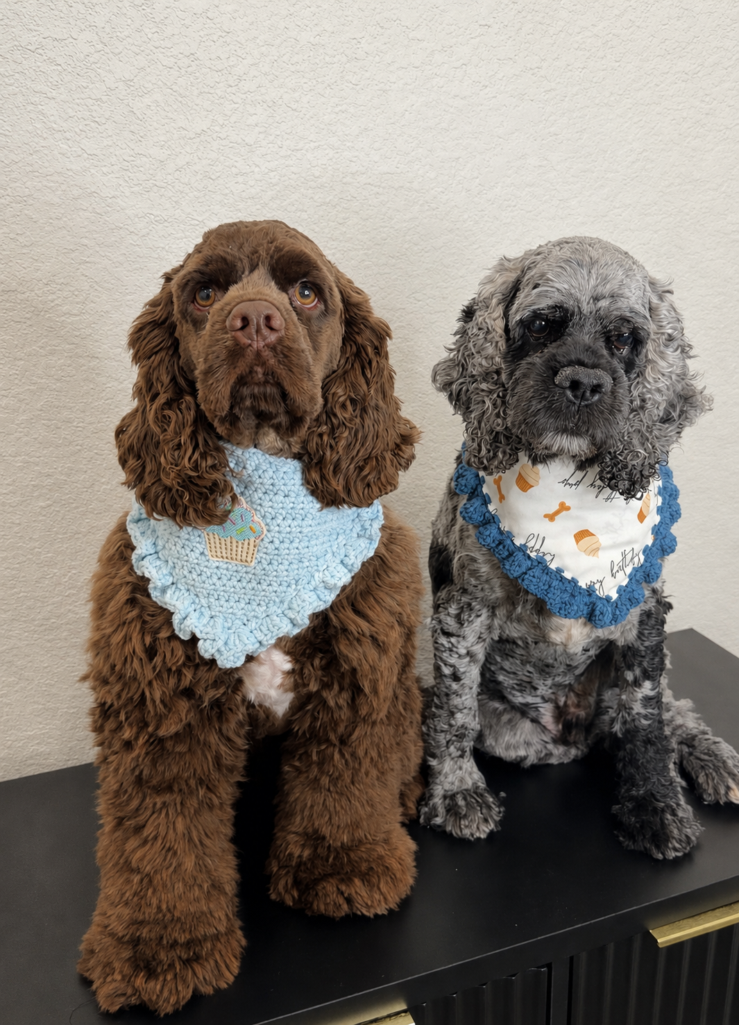 Birthday Bandana | Light Blue