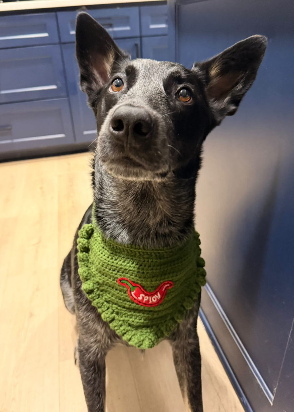 Spicy Bandana