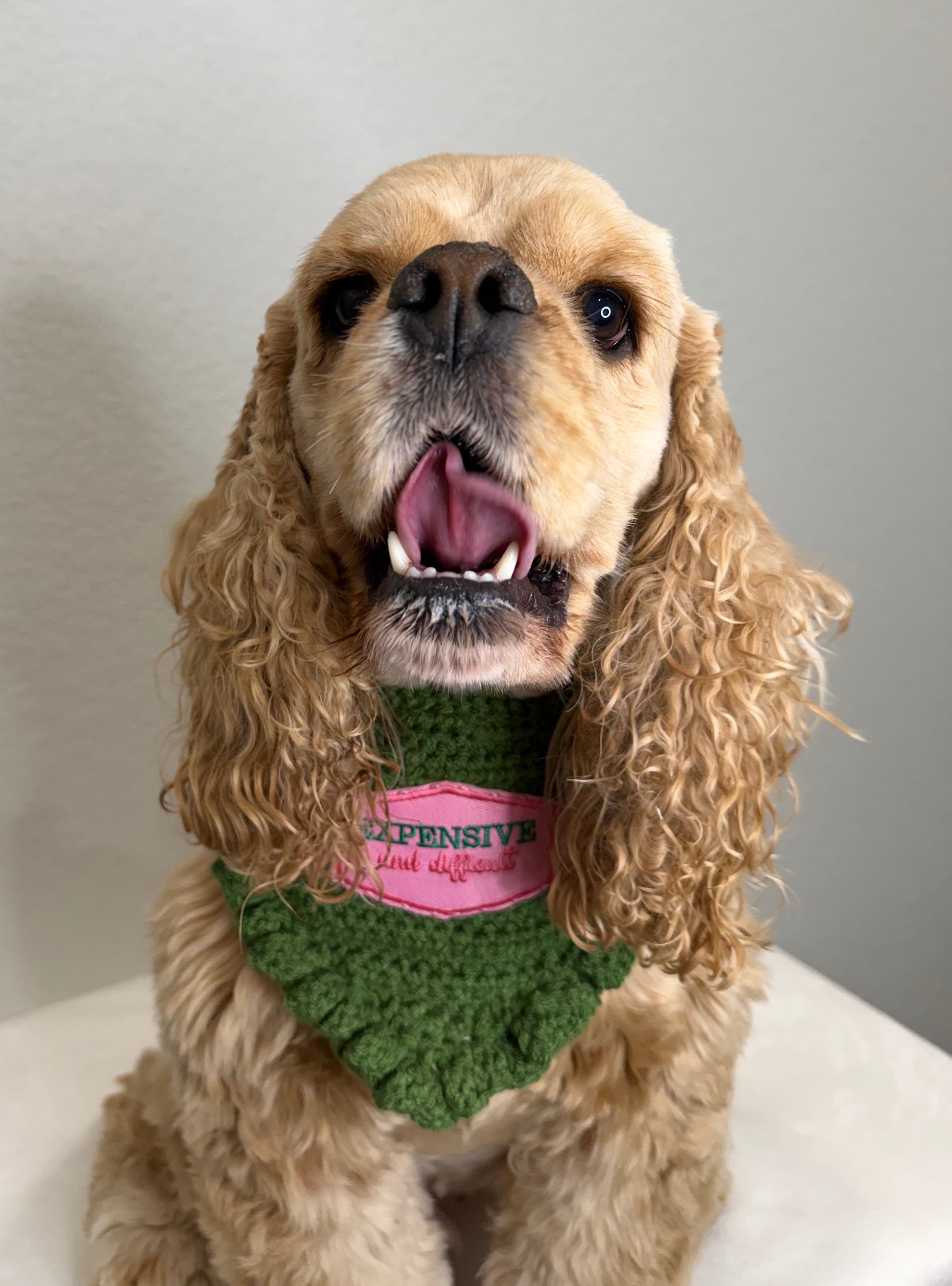 Expensive & Difficult Bandana | Green