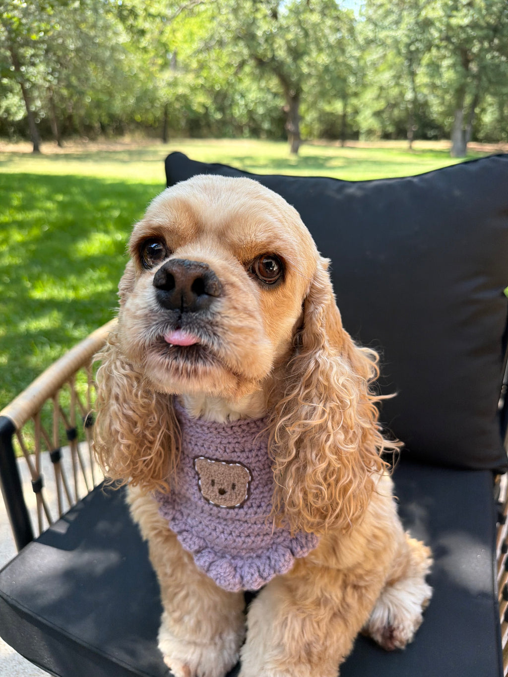 Teddy Bear Bandana | Purple