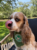 Silly Goose Bandana | Green