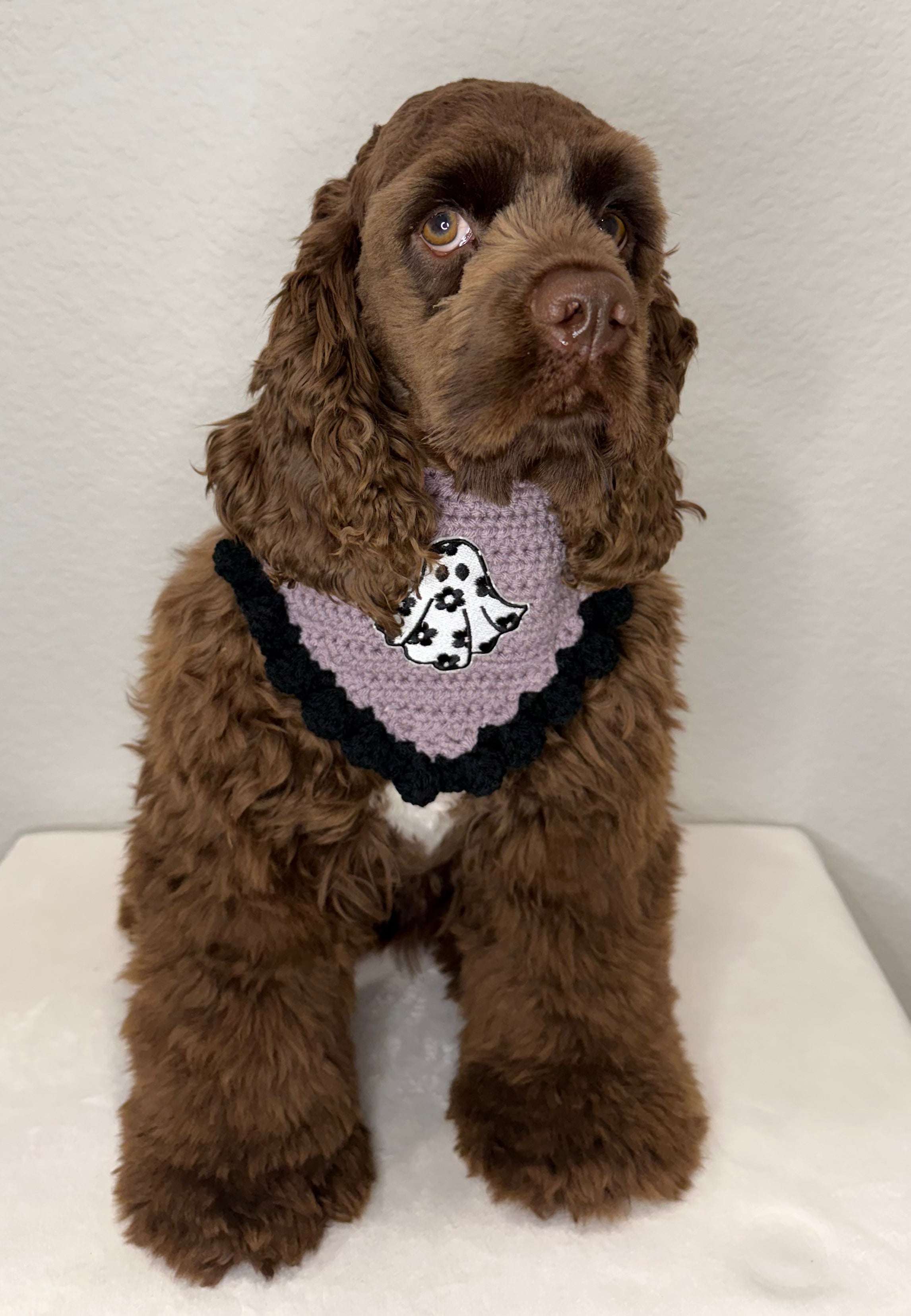 Groovy Ghost Bandana