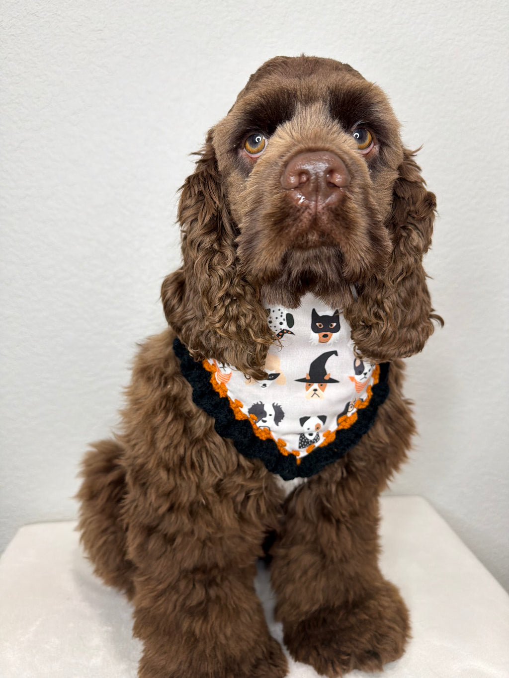 Happy Haunt Bandana