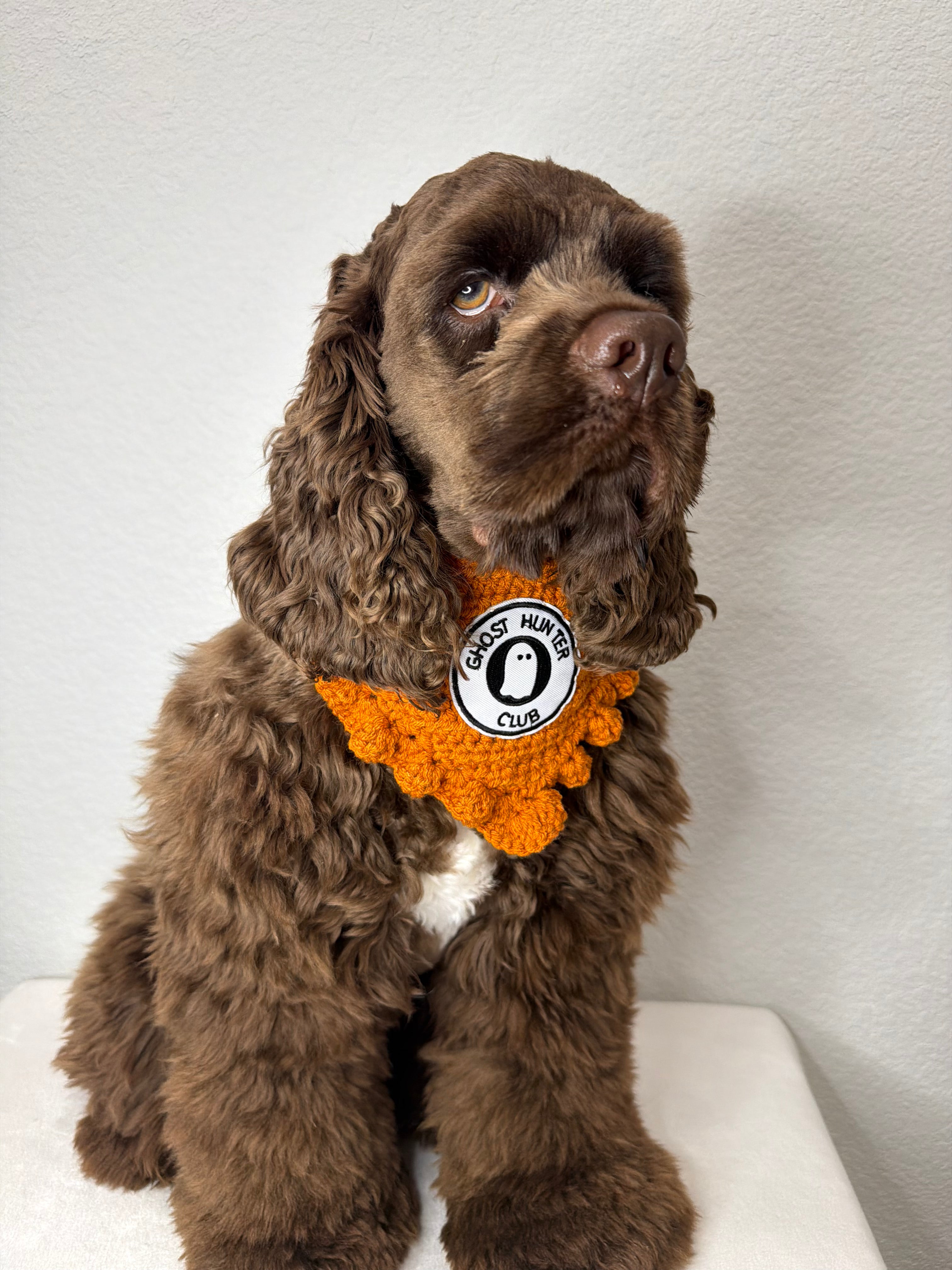 Ghost Hunter Club Bandana
