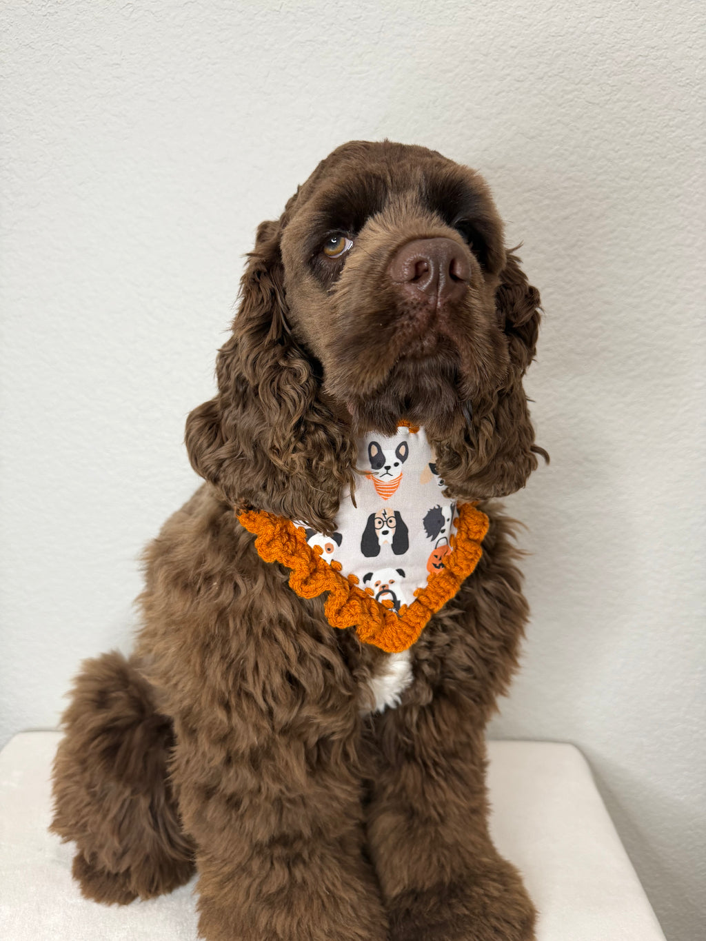 Boo Crew Bandana