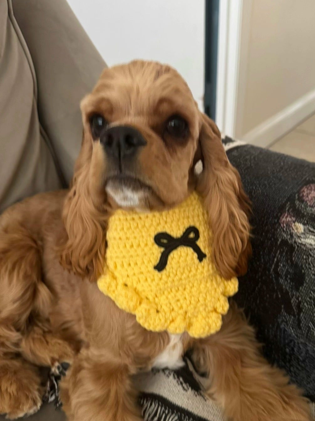 Black Bow Bandana | Yellow